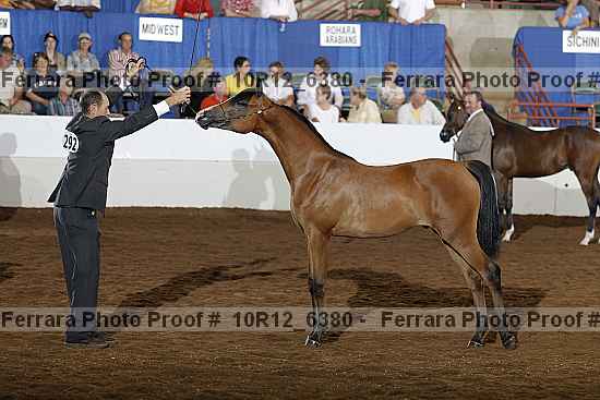 Proof 10r12_6380