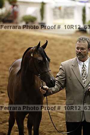 Proof 10r12_6381