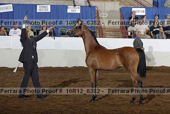 Proof 10r12_6382
