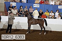 10r12_6383 proof
