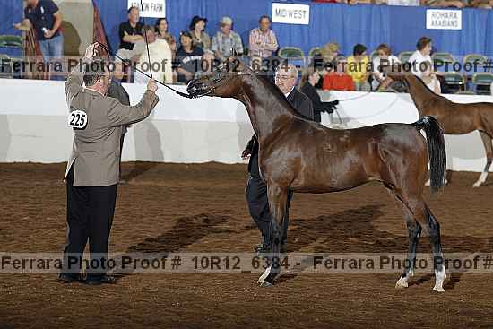 Proof 10r12_6384