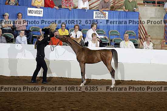 Proof 10r12_6385