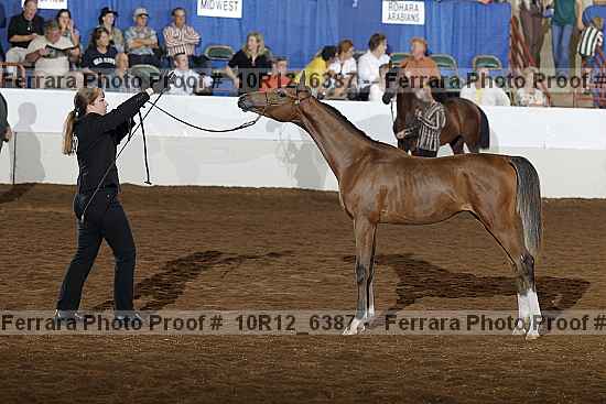 Proof 10r12_6387