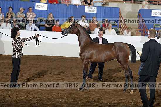 Proof 10r12_6388