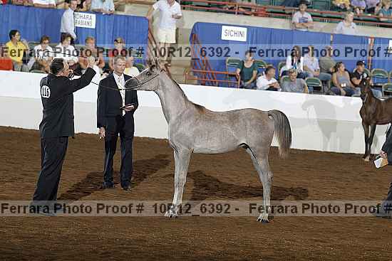 Proof 10r12_6392
