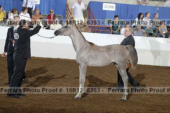 Proof 10r12_6393