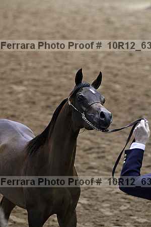 Proof 10r12_6394