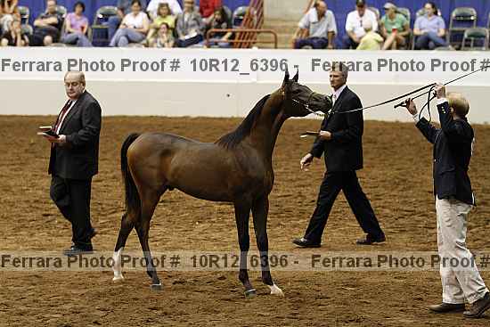 Proof 10r12_6396