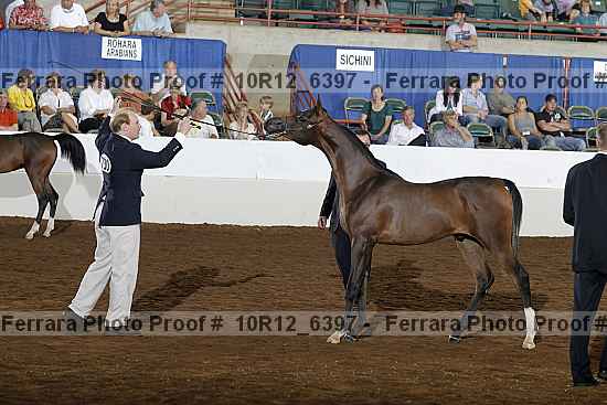 Proof 10r12_6397