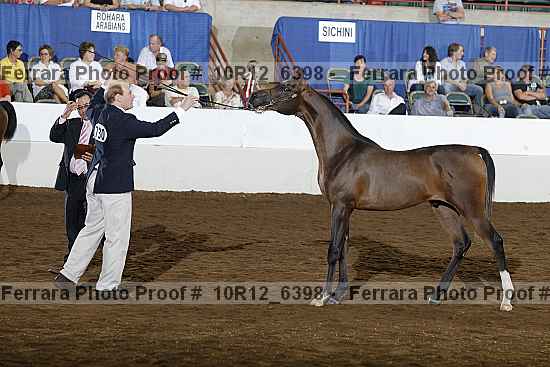 Proof 10r12_6398