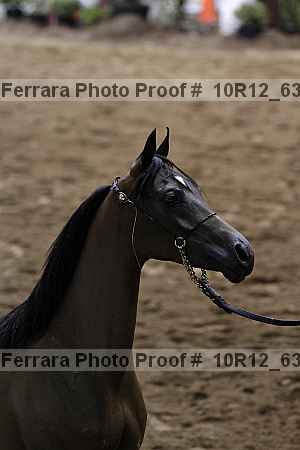 Proof 10r12_6399