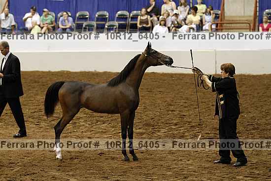 Proof 10r12_6405