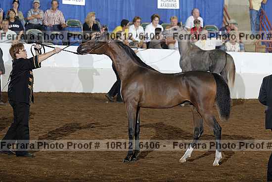 Proof 10r12_6406