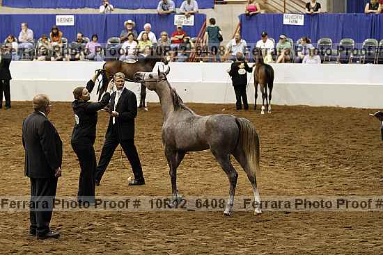 Proof 10r12_6408