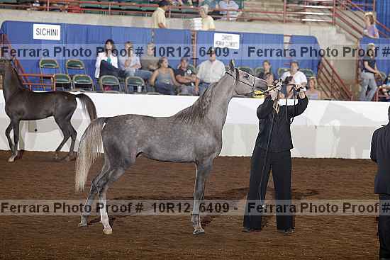 Proof 10r12_6409