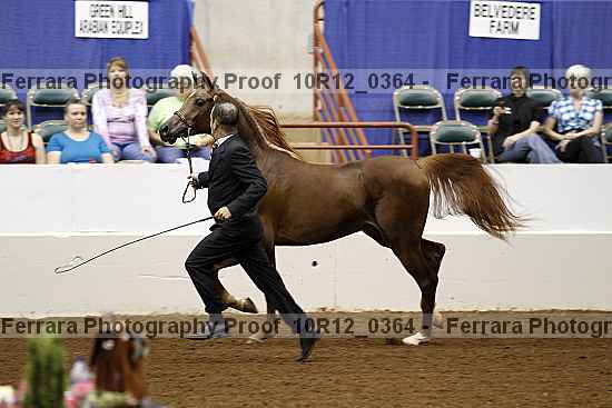 Proof 10r12_0364