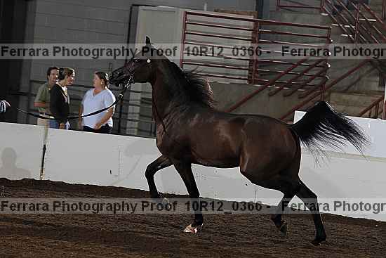 Proof 10r12_0366