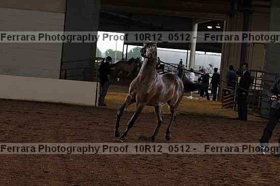 Proof 10r12_0512
