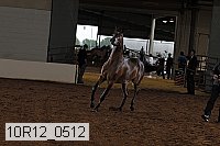 10r12_0512 proof