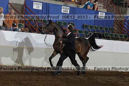 Proof 10r12_0513
