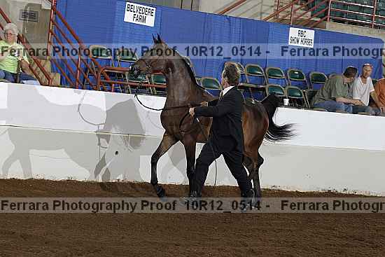 Proof 10r12_0514