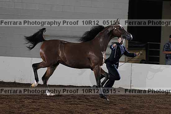 Proof 10r12_0515