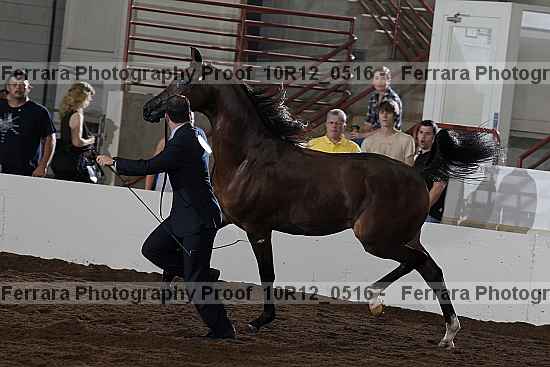 Proof 10r12_0516