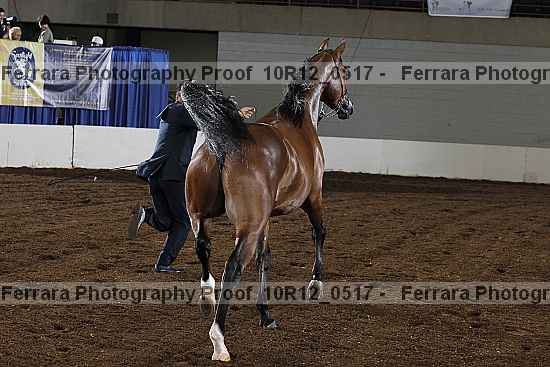 Proof 10r12_0517