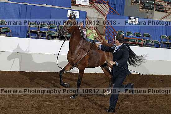 Proof 10r12_0518