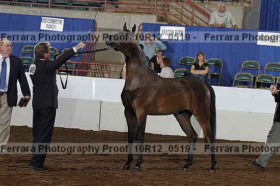 Proof 10r12_0519
