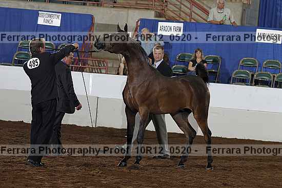 Proof 10r12_0520