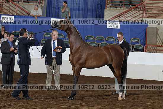Proof 10r12_0523