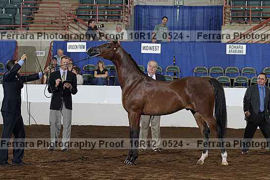 Proof 10r12_0524