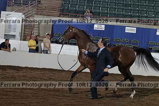 Proof 10r12_0526