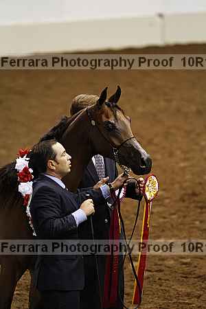 Proof 10r12_0528