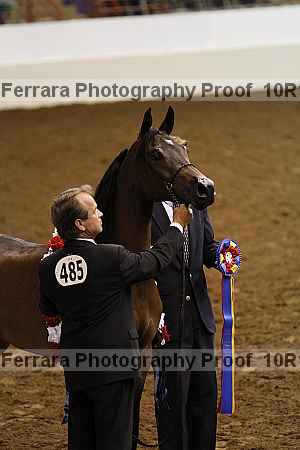 Proof 10r12_0531