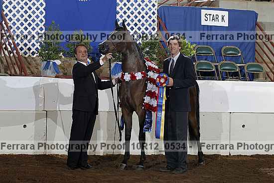Proof 10r12_0534