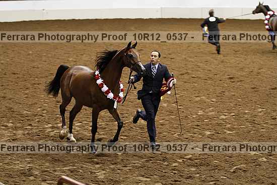 Proof 10r12_0537