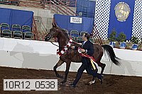 10r12_0538 proof