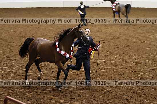 Proof 10r12_0539