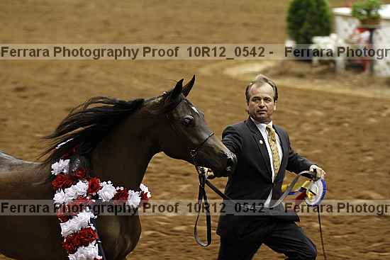 Proof 10r12_0542