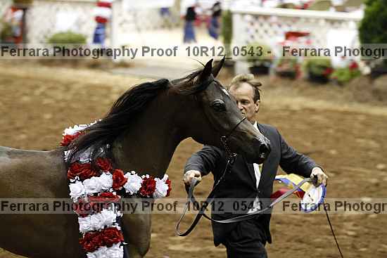 Proof 10r12_0543