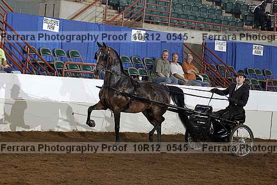 Proof 10r12_0545