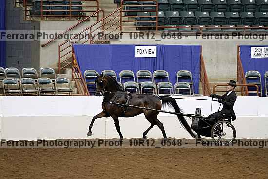 Proof 10r12_0548