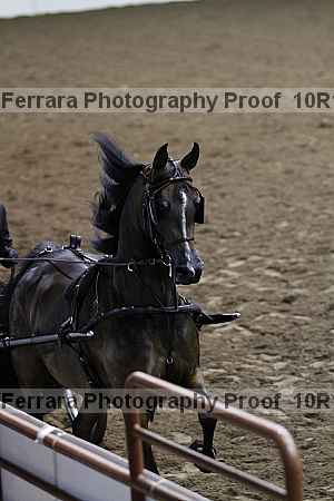 Proof 10r12_0550