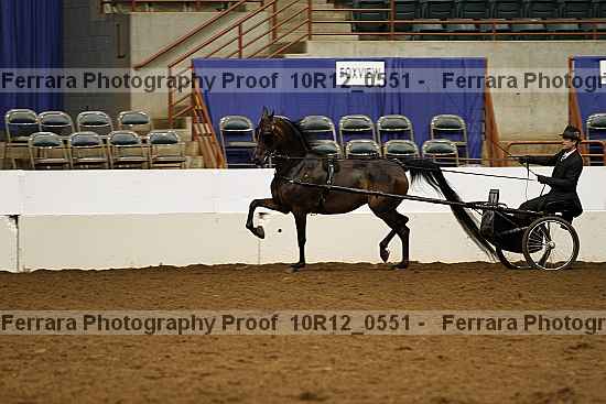 Proof 10r12_0551