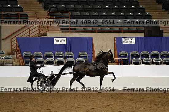 Proof 10r12_0554