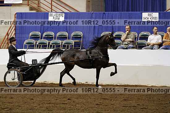 Proof 10r12_0555