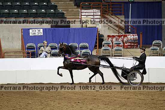 Proof 10r12_0556