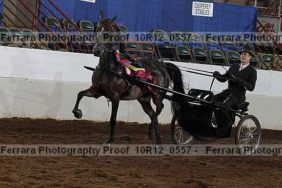 Proof 10r12_0557